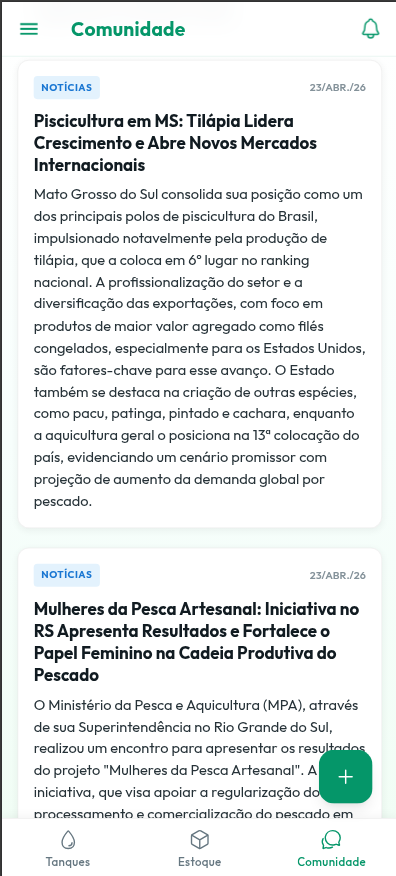 Feed de Notícias